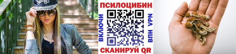 Галлюциногенные грибы Cubensis  магазин  наркотиков  Отрадное 